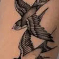 هر نوع تاتو ۵۰۰|خدمات آرایشگری و زیبایی|لنجان, |دیوار