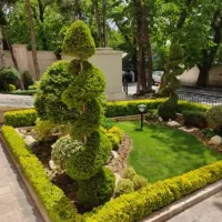 باغبانی باغچه کاری گل کاری.هرس کاری.گل وگیاه