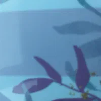 استخدام در موسسه خیریه