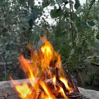 زمین ششدار