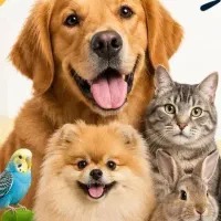 فروش عمده محصولات سگ وگربه وپت شاپ ها