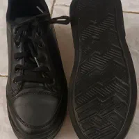 کفش اسپرت|کیف، کفش، کمربند|پرند, فاز ۶|دیوار