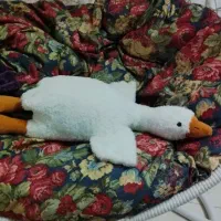 عروسک غاز کاملا نو