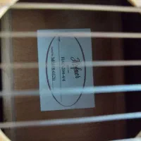 گیتار کلاسیک هافنر، سالم و در حد نو
