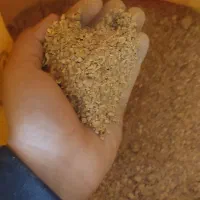 سویا برزیل خوراک دام