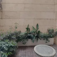جردن موقعیت اداری ۷۲ متر با دو پاسیوی دیزاین شده|اجارهٔ دفتر کار، اتاق اداری، مطب|تهران, جردن|دیوار