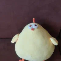 عروس ک های نو|اسباب‌بازی بچه|گلبهار, شهر جدید گلبهار|دیوار