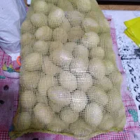 تخم مرغ صفالی