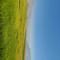 اجاره سه هکتار زمین برای کشت گوجه فرنگی