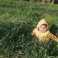 سلام زمین جهت کشاورزی|فروش دفتر صنعتی، کشاورزی، تجاری|عنبرآباد, |دیوار