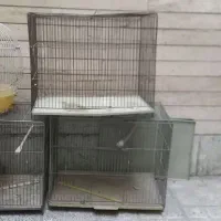 قفس پرنده و تعدادی جای غذا و آب