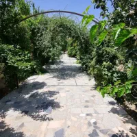باغ-ویلا-با-درختان-آجیلی