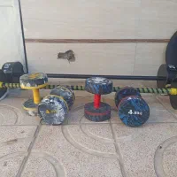 هالتر ثابت بتنی 20کیلویی