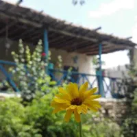 سوییت-دربست