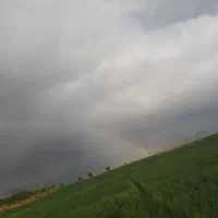 فروش جو