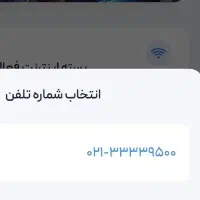 شماره ۳۳۳۳۹۵۰۰