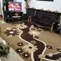 فرش دو عدد ۶ متری  و  ۹متری سالمه سالم