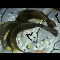 فروشنده موی طبیعی|حراج|شاهینشهر, فردوسی|دیوار