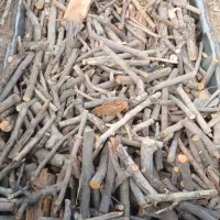 خرید و فروش چوب|خدمات باغبانی و درختکاری|جاجرود, |دیوار