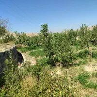 فروش باغ ویلایی دراسکو|فروش زمین و ملک کلنگی|اسکو, |دیوار