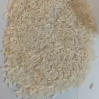 برنج سرلاشه ایرانی