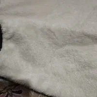 کاپشن وهودی مردانه،پسرانه|لباس|ماهدشت, |دیوار