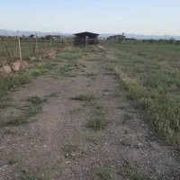 مشارکت در پرورش قارچ خوراکی و گیاهان و ماهی|خدمات باغبانی و درختکاری|تاکستان, |دیوار