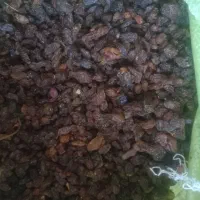 ۷۰۰ کیلو کشمش آفتابی کیلو ۱۶۰۰۰۰هزاتومان