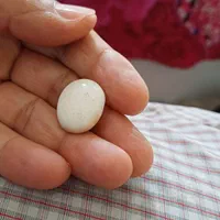 سنک و حجر قدیمی