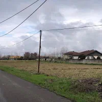 زمین 1500متری پیله داربن( تخته پل)(رستوران سپیدار)|فروش زمین و ملک کلنگی|رشت, پیله داربن|دیوار