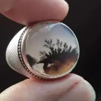 انگشتر شجر|جواهرات|قزوین, |دیوار