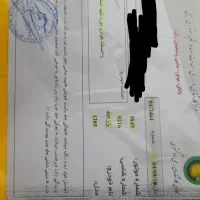 پژو ۴۰۵|خودرو سواری و وانت|یاسوج, |دیوار