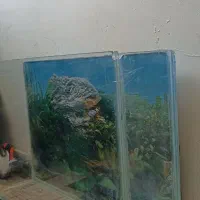 آکواریوم زیبا و نو