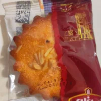 استخدام نیرو خانم