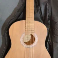 گیتار الگرو