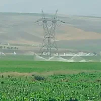 اکیپ کارگر برای تمام کارهای کشاورزی