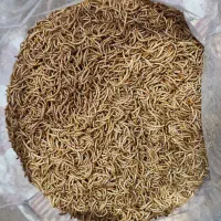 میلورم خشک درجه یک