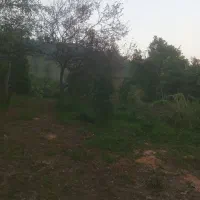 فروش ۴۵۰ متر متری شش میلیون تومان است|فروش دفتر صنعتی، کشاورزی، تجاری|اطاقور, |دیوار