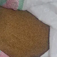 بذر یونجه محلی دلگان
