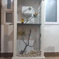 قفس پرنده