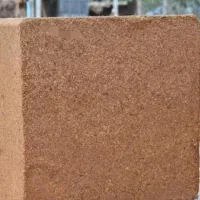 کوکوپیت سریلانکا