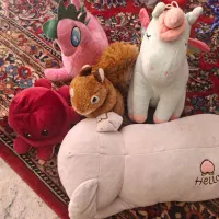 ۵عدد عروسک پولیشی