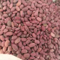 لوبیا قرمز