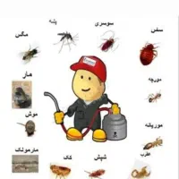 سم پاشی نابروان 1 سمپاشی کل حشرات دانـیال/انسجام|خدمات نظافت|قم, هنرستان|دیوار