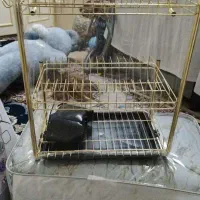 سلام یک عدد جا ظرفی 2طبقه