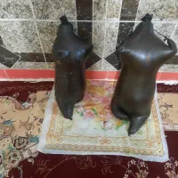 هیزه نو وسالم