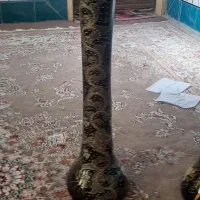 میز تلوزیون و دوتا گلدان