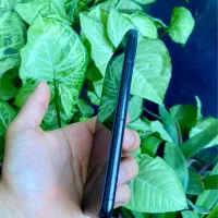 iphone xs 256|موبایل|دزفول, |دیوار