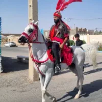 نریان دوسر عرب