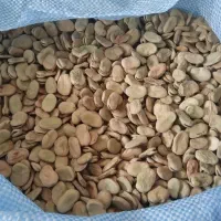 باقلا خشک سه بند سوری